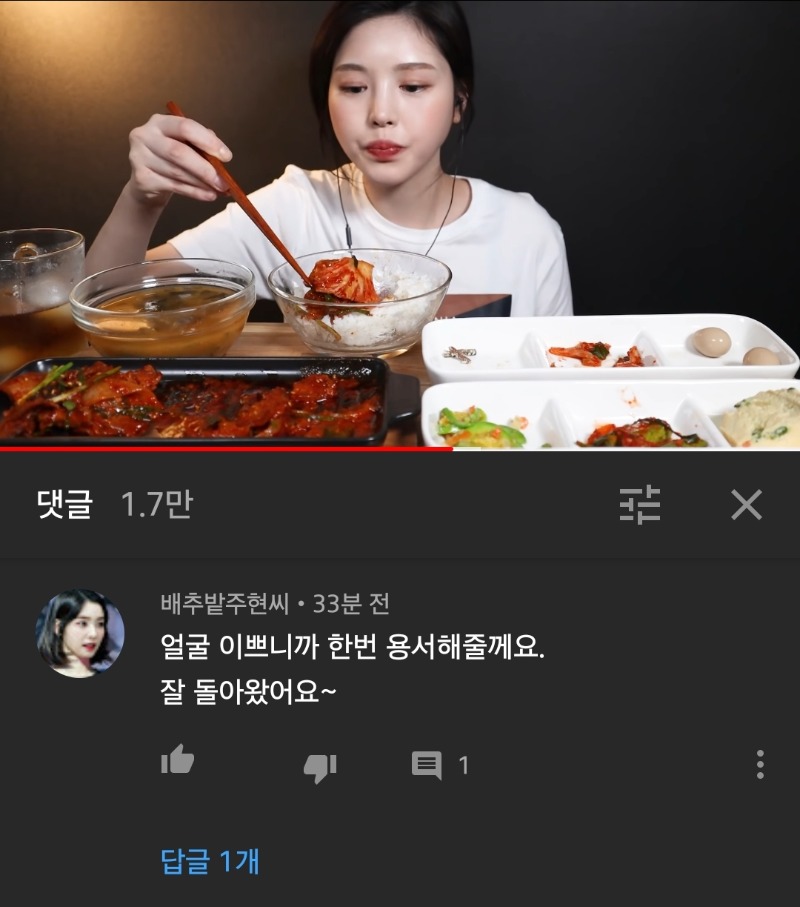 먹뱉 뒷광고 논란 먹방 유튜버 문복희 복귀 영상 댓글 클라스.jpg