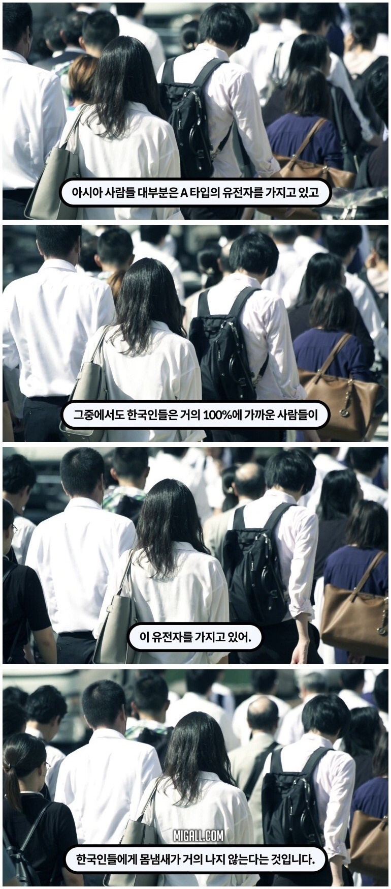 한국인들이 암내가 덜 나는 이유