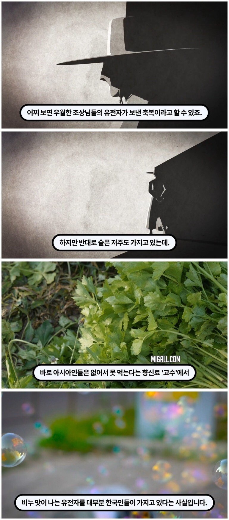 한국인들이 암내가 덜 나는 이유
