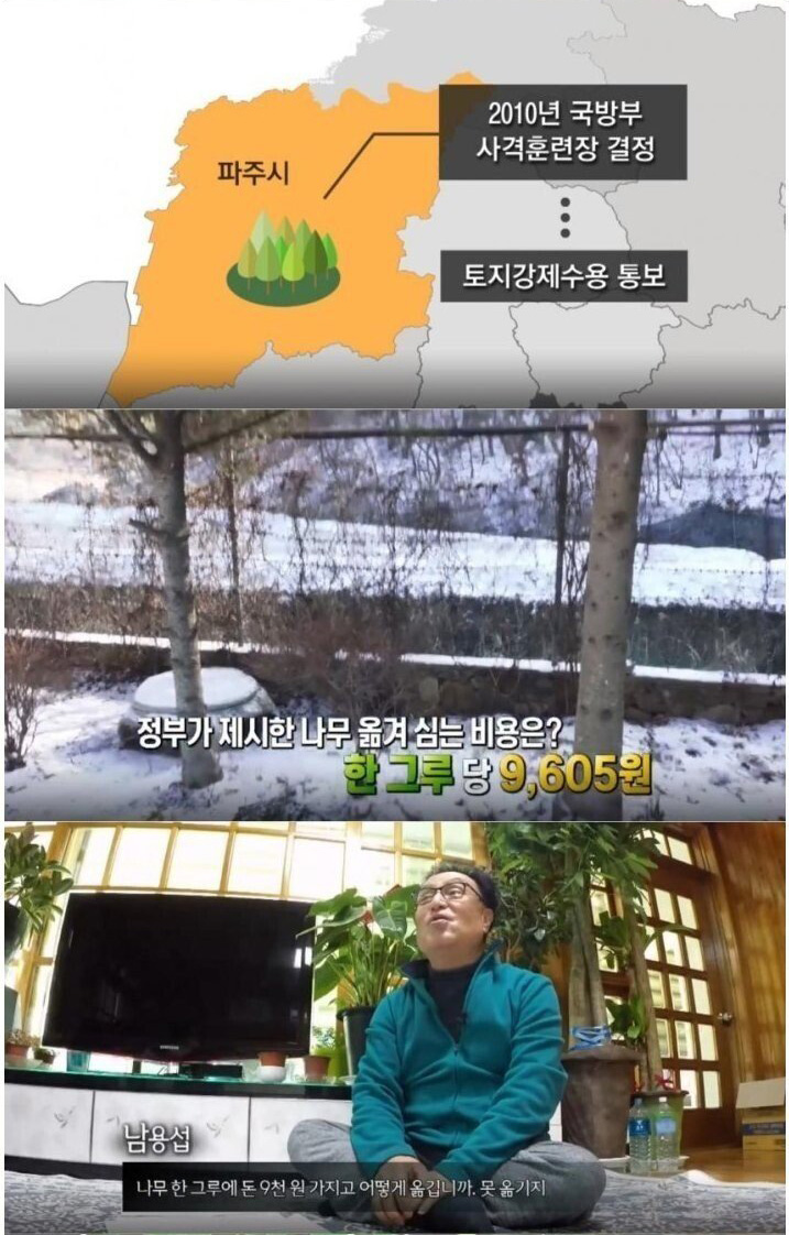 대한민국에서 나무 3천 그루를 심자 일어난 일