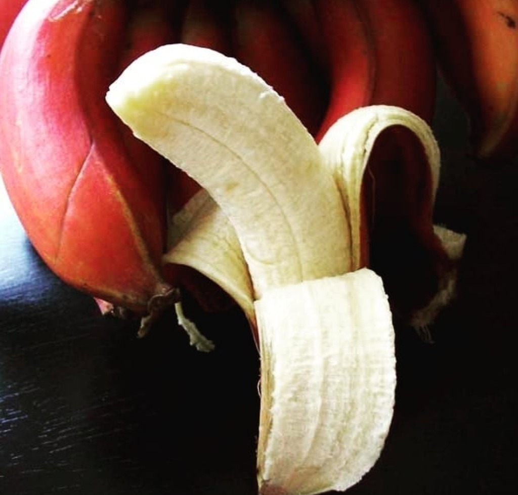 빨간 바나나