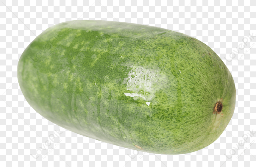 lovepik-wax-gourd-png-image_401055489_wh860.png