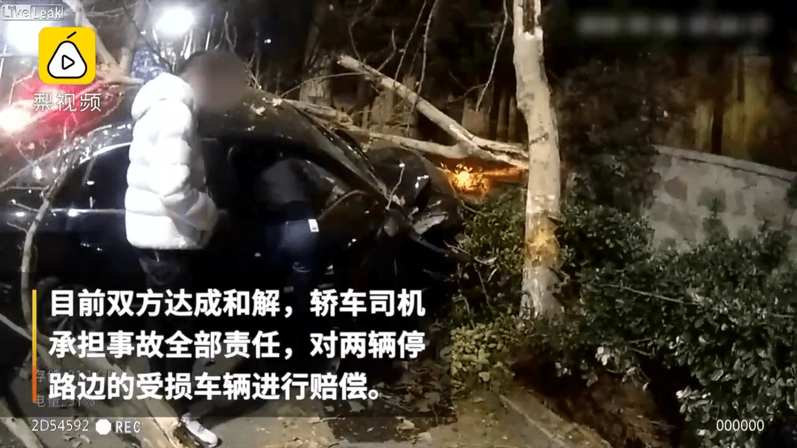 Speeding car avoids a man and dog and crashes into a tree.mp4_20190313_005404.408.png