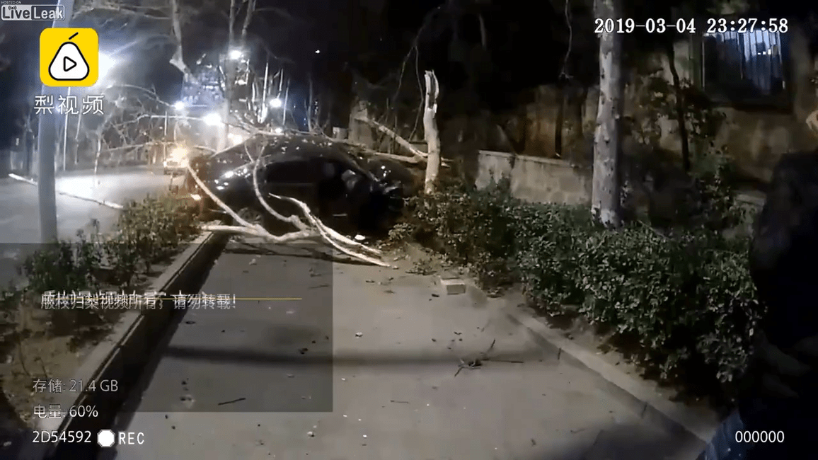 Speeding car avoids a man and dog and crashes into a tree.mp4_20190313_005408.073.png
