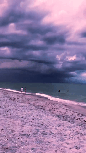 플로리다 해변의 어느날.gif