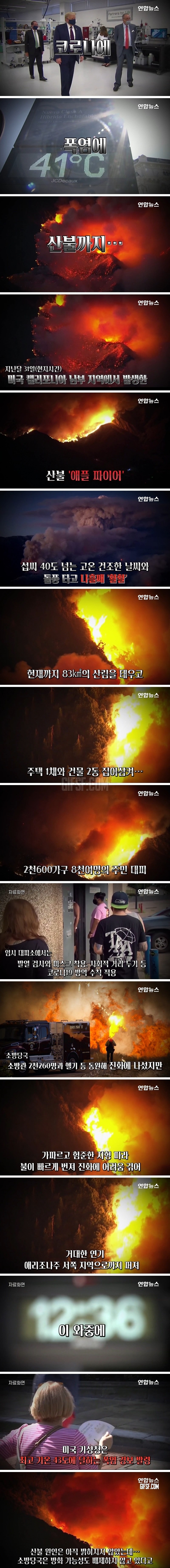 한국은 물난리인데…미국은 산불 활활.jpg