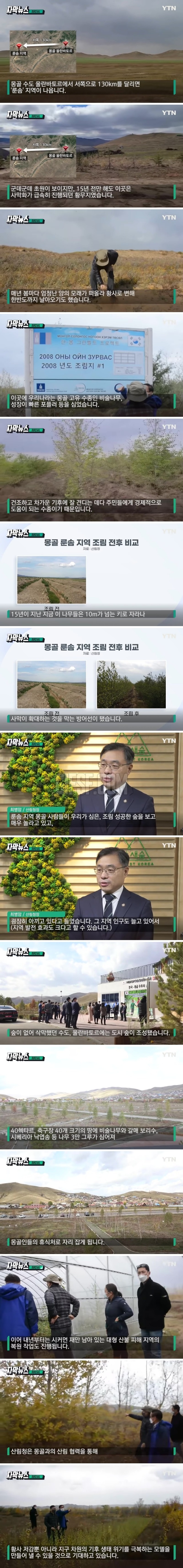 한국이 몽골에 심은 나무.15년 지나자 ',놀라운 변화',.jpg