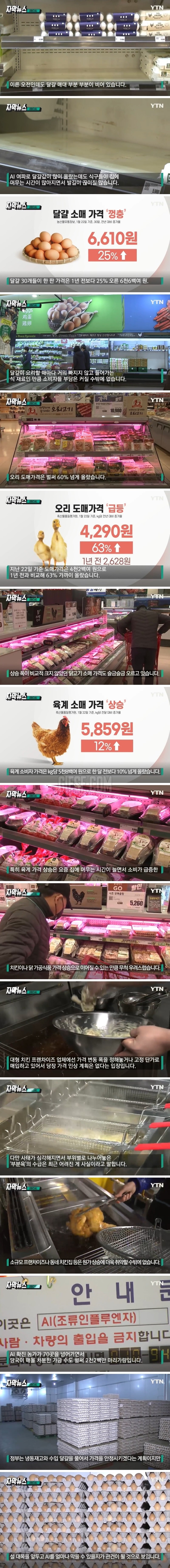 걱정되는 닭고기 상황에.치킨 가격 어쩌나.jpg