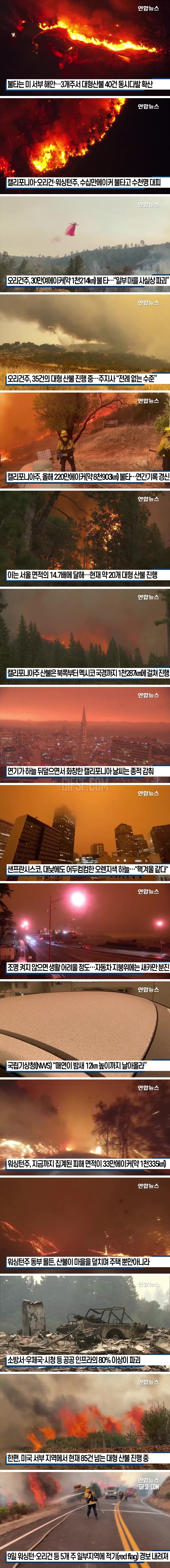 서울 면적 14배 불탔다…',오렌지 세상',으로 변한 캘리포니아 .jpg