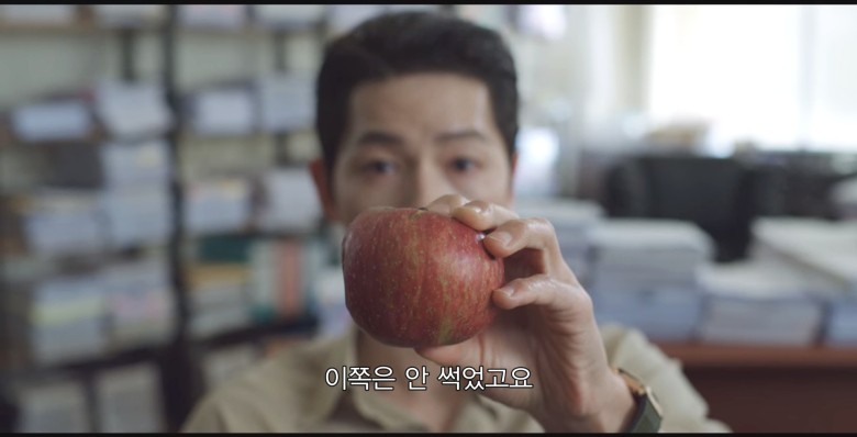 이 사과는 썩은 사과일까요? 아닐까요? 