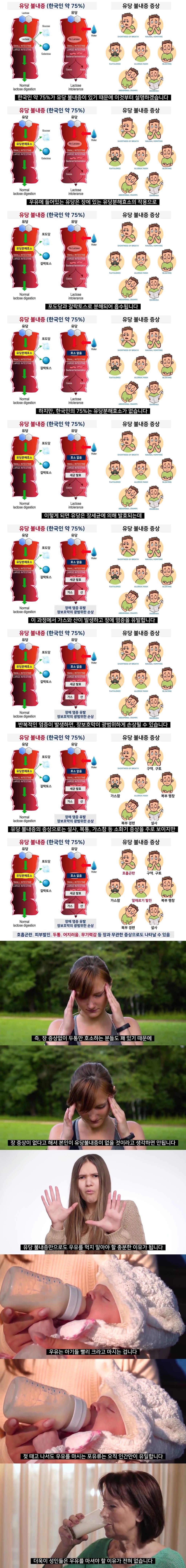 한국인과 우유가 안 맞는 이유.jpg